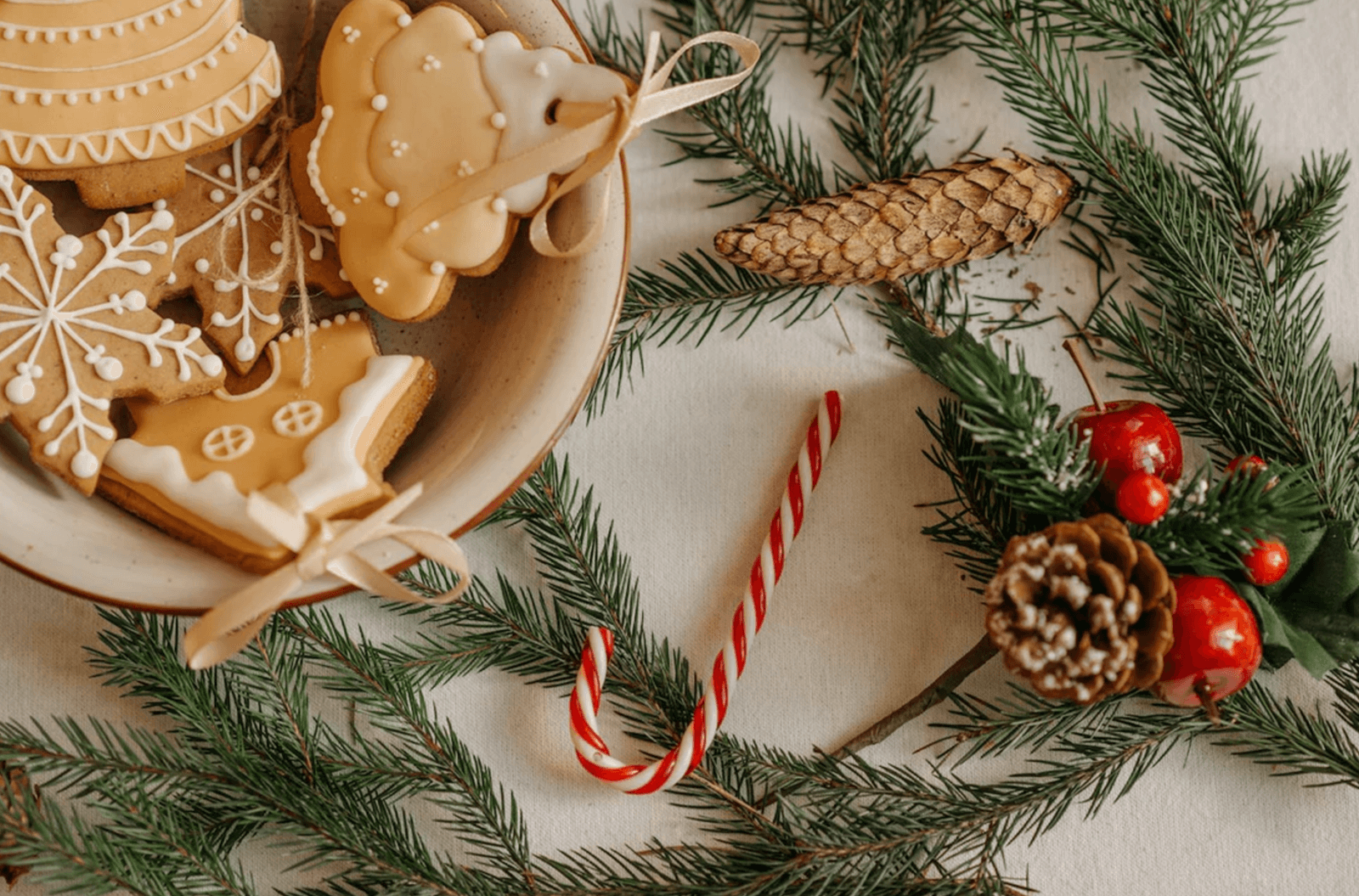 Healthy Holidays: Stay Healthy and Energized This Holiday Season